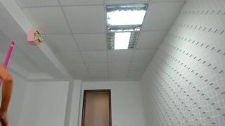 LissaAkiraa Ardent mare