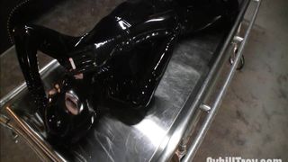 cybilltroy  cheeky youngster