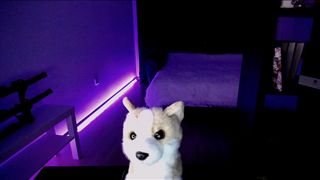 jollenne  Peerless chicks