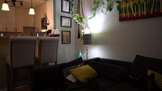 bloomyogi shy mare gently jerks her pussy