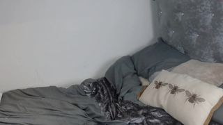 emxblackx Homemade porn
