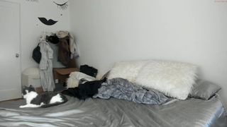 xxxbabybelle Cute lady caresses shaved cunt