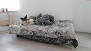 tonightweareyoun_g crazy prank caresses juicy holes