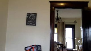 lala_nibbles busty mare caresses pussy