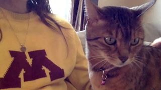 lala_nibbles caresses pussy through panties