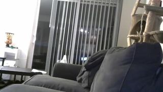 zina_loves whore friends masturbating pussies