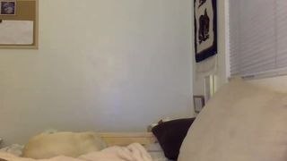 whisperbamboo online show January 2020