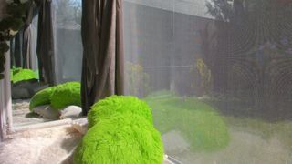 sassyt33n crazy chick caresses shaved cunt