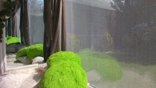 sassyt33n crazy chick caresses shaved cunt