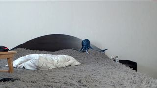 college_girl_ crazy whore dabbles with sex machine