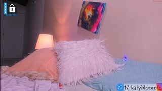 katybloom_ overall model and its large buffers