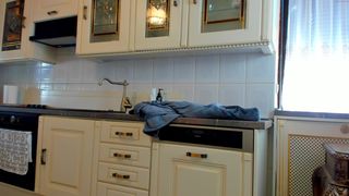 tunderose shy model posing in lingerie