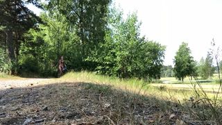 ivy roses busty chick talks in french