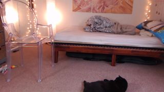 eeeveee home masturbation