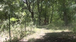 texasblaze Fiery chick