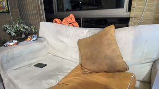 biengrossa online show January 2020