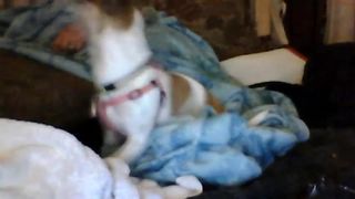 1r2win99 amazing wench fucks herself with sex toys