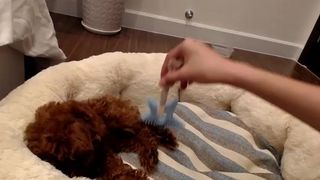 yeu_asian Naughty blonde