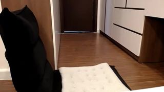 yeu_asian crazy passion shows tits