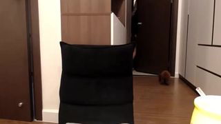 yeu_asian Obstinate bitch